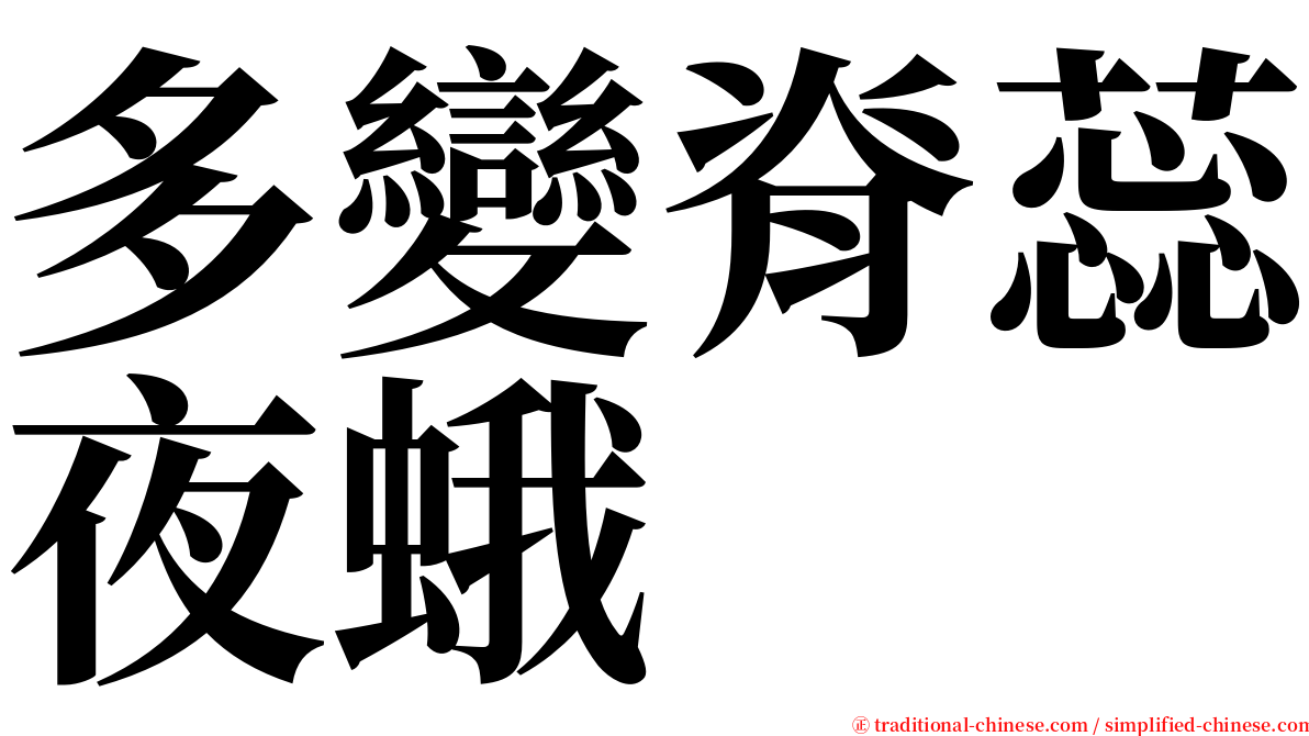 多變脊蕊夜蛾 serif font