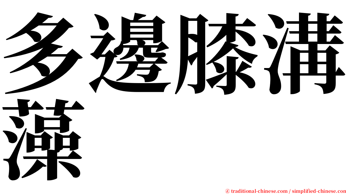 多邊膝溝藻 serif font