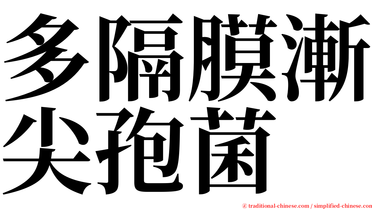 多隔膜漸尖孢菌 serif font