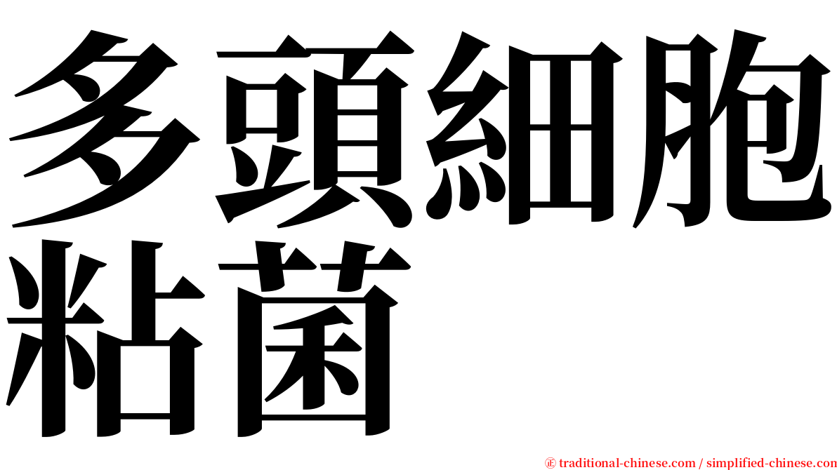 多頭細胞粘菌 serif font