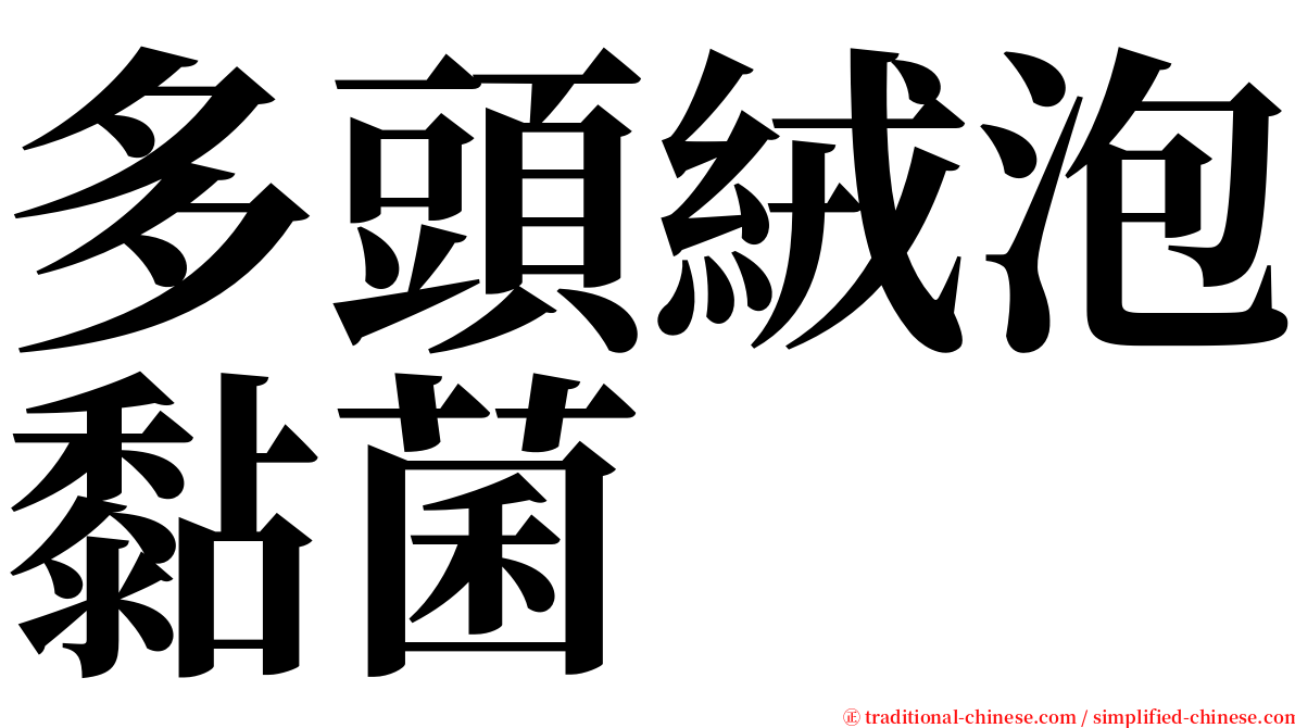 多頭絨泡黏菌 serif font