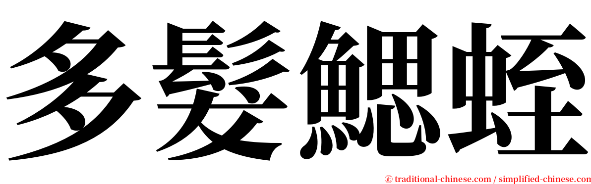 多髮鰓蛭 serif font