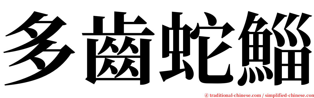 多齒蛇鯔 serif font