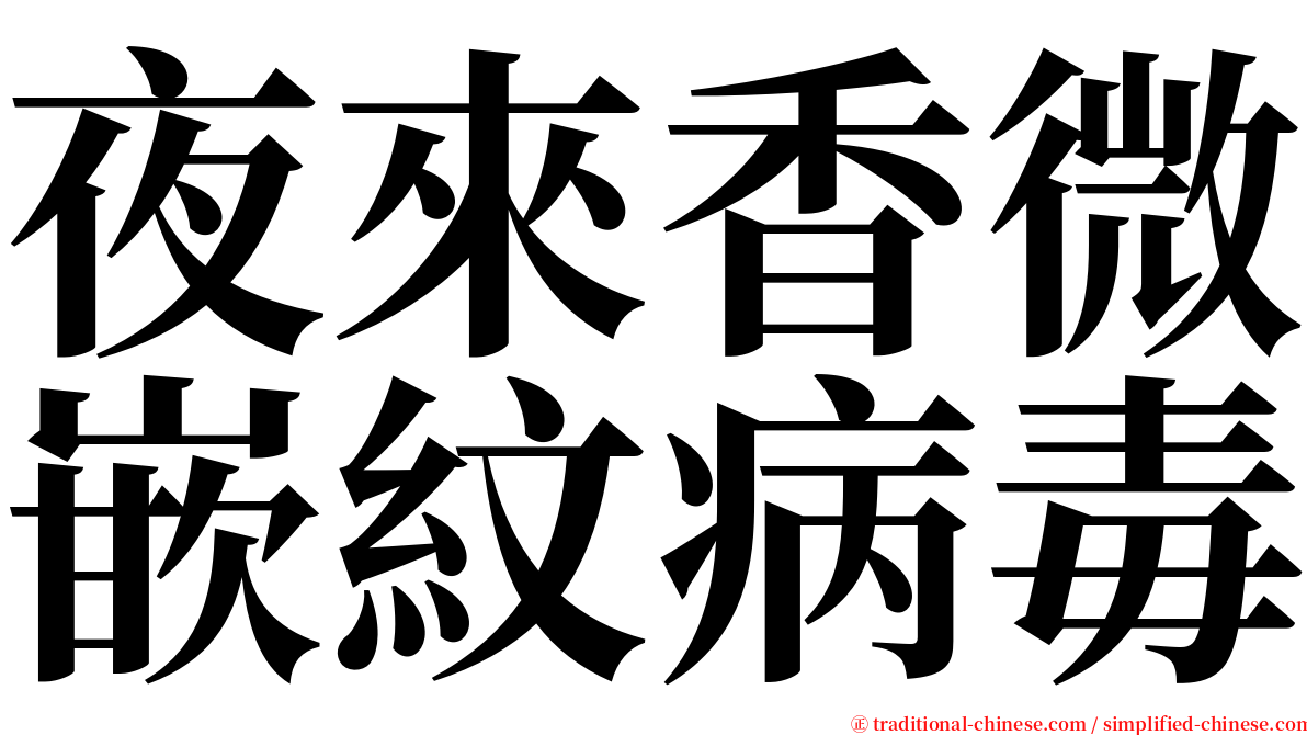 夜來香微嵌紋病毒 serif font