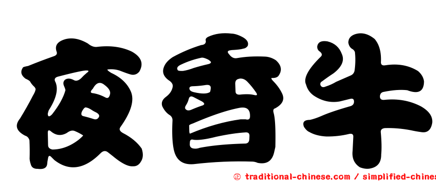 夜香牛