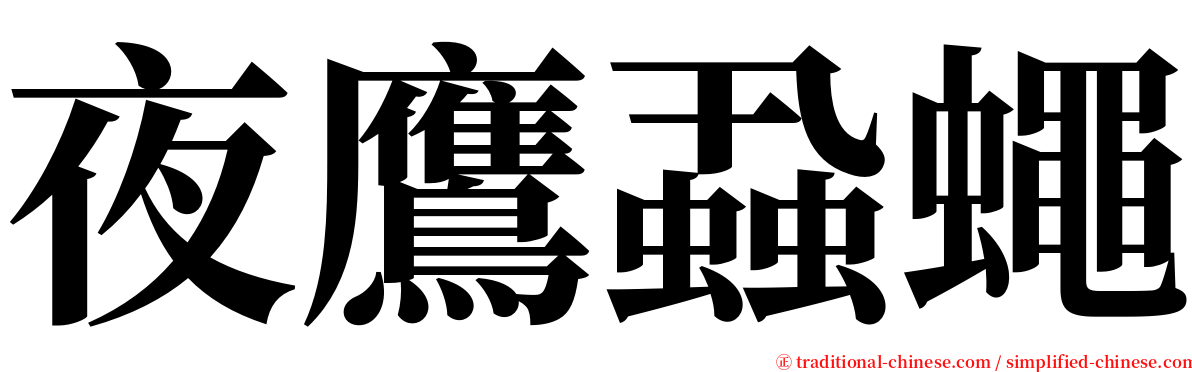 夜鷹蝨蠅 serif font