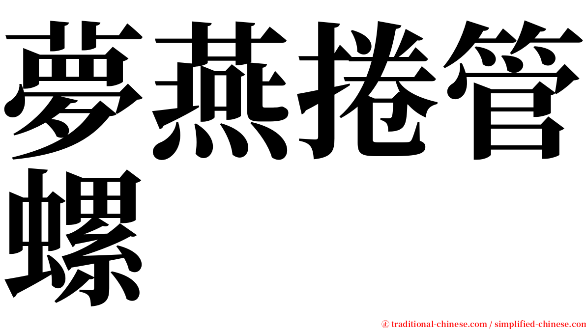 夢燕捲管螺 serif font