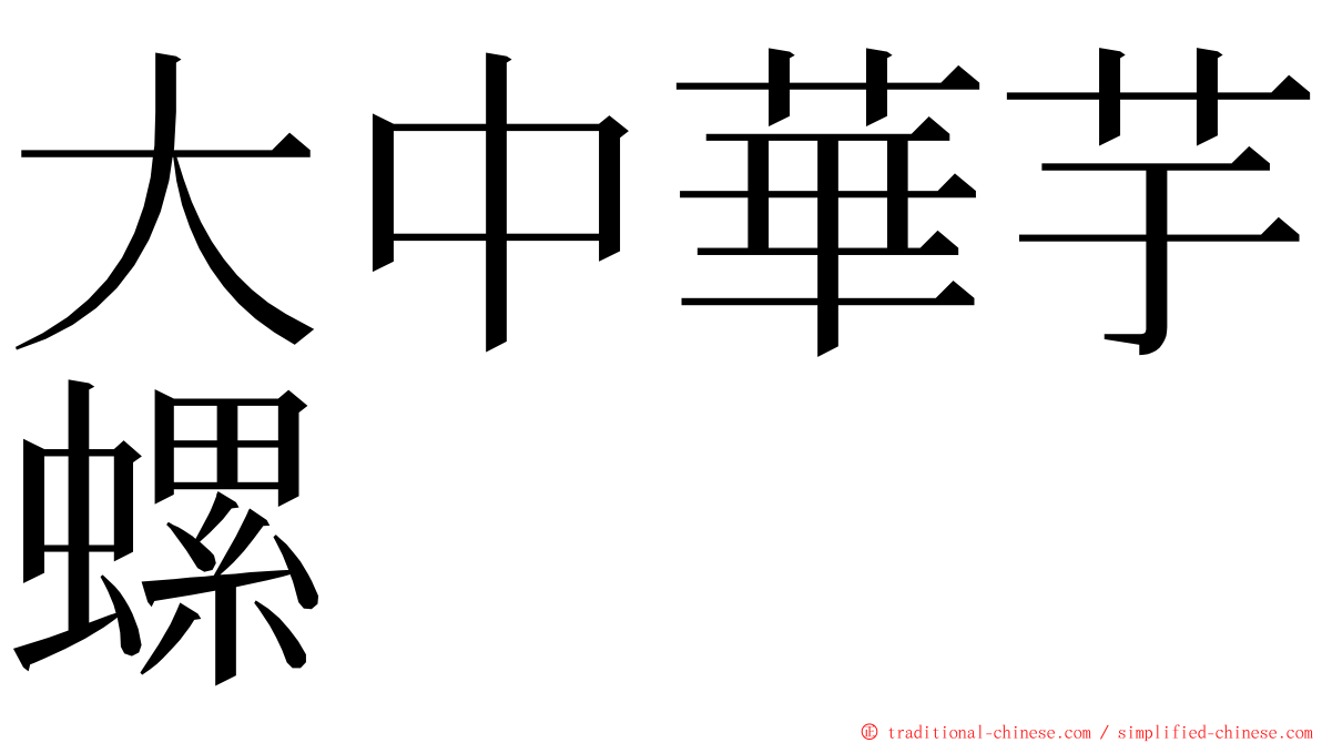 大中華芋螺 ming font