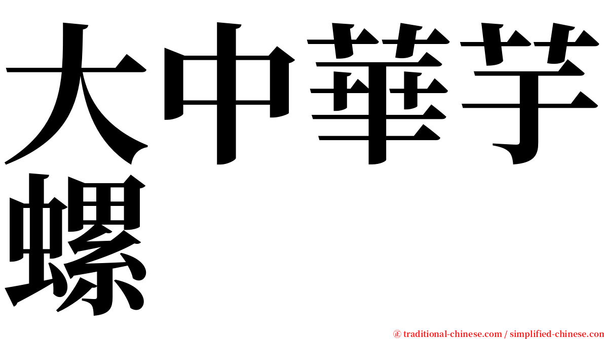 大中華芋螺 serif font