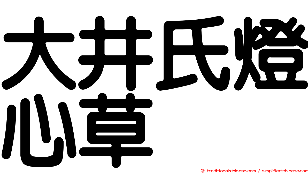 大井氏燈心草