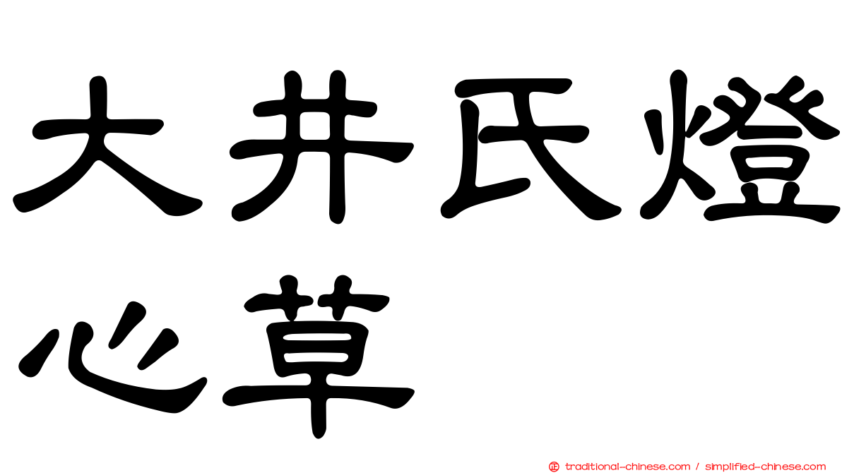 大井氏燈心草