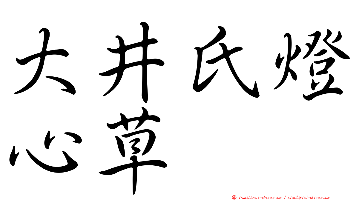 大井氏燈心草