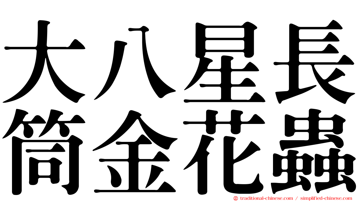 大八星長筒金花蟲