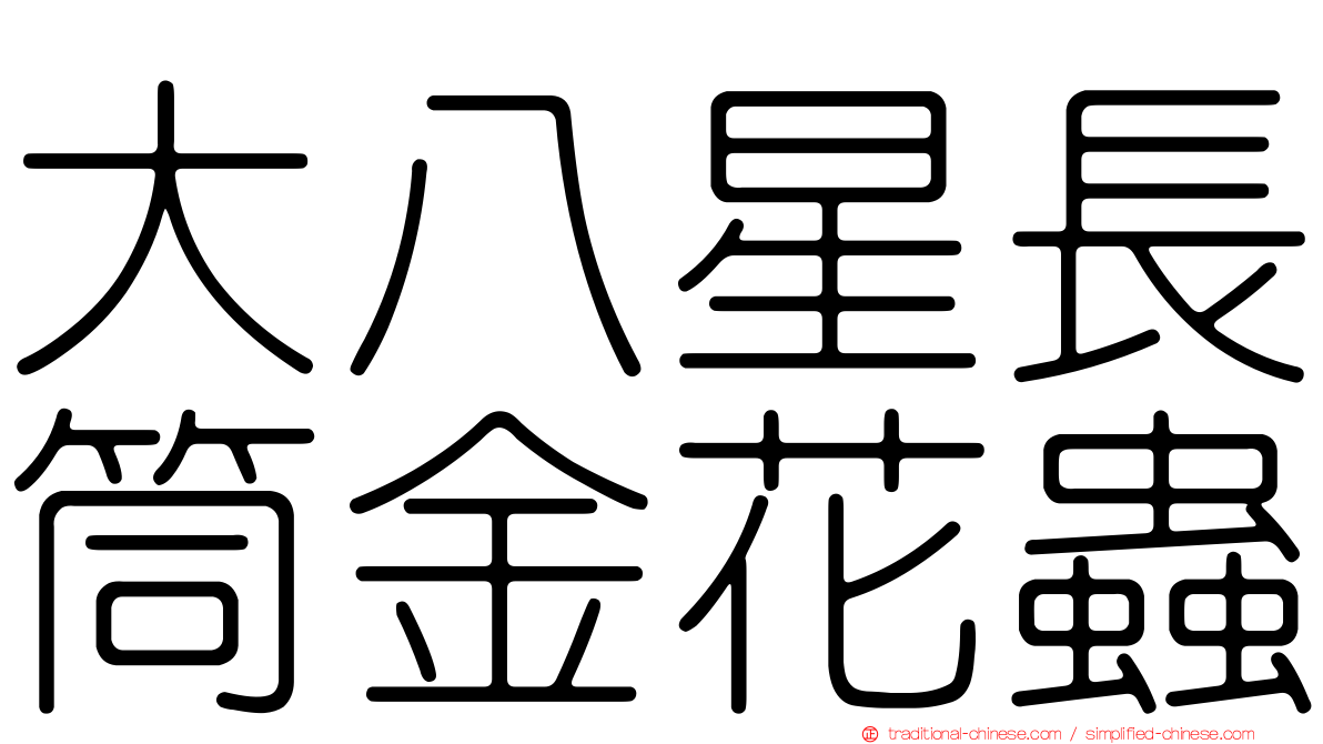 大八星長筒金花蟲