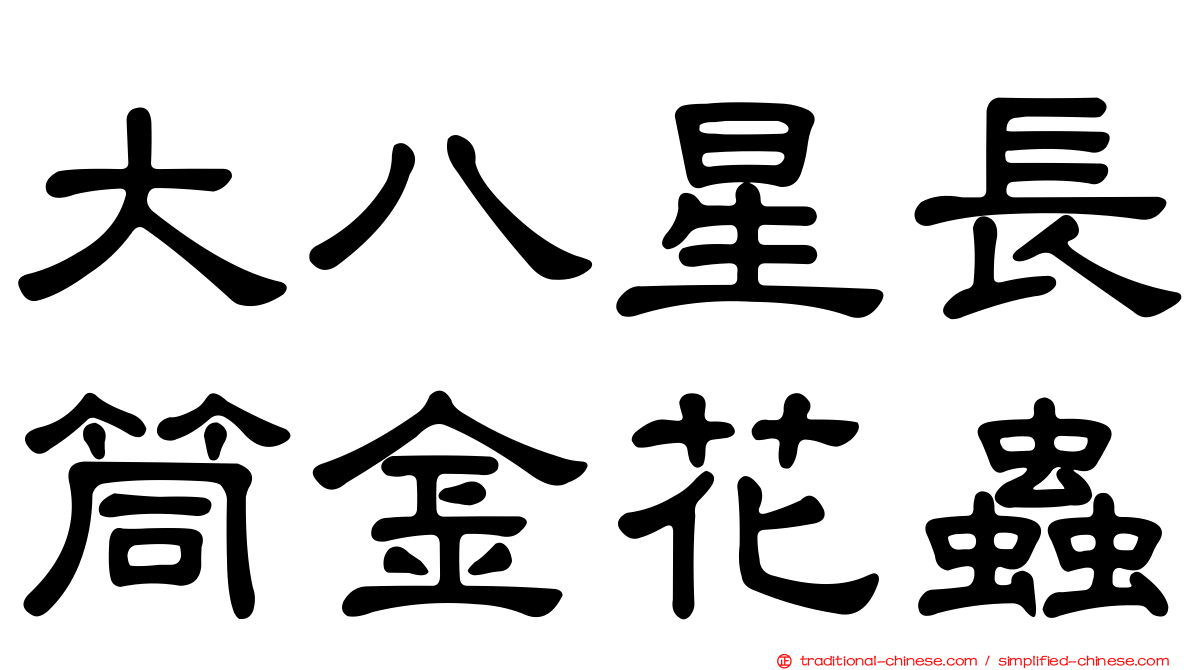 大八星長筒金花蟲