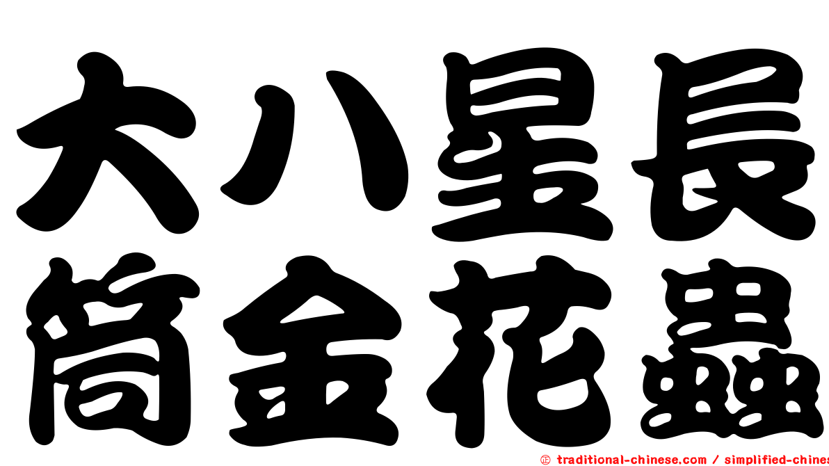 大八星長筒金花蟲