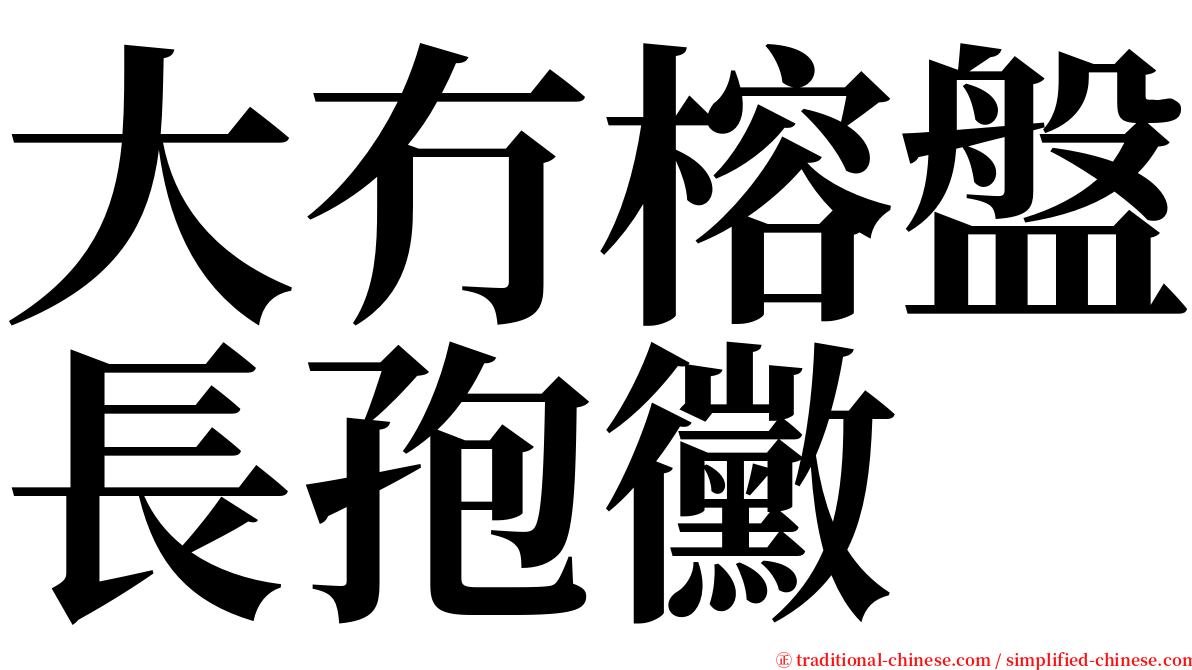 大冇榕盤長孢黴 serif font