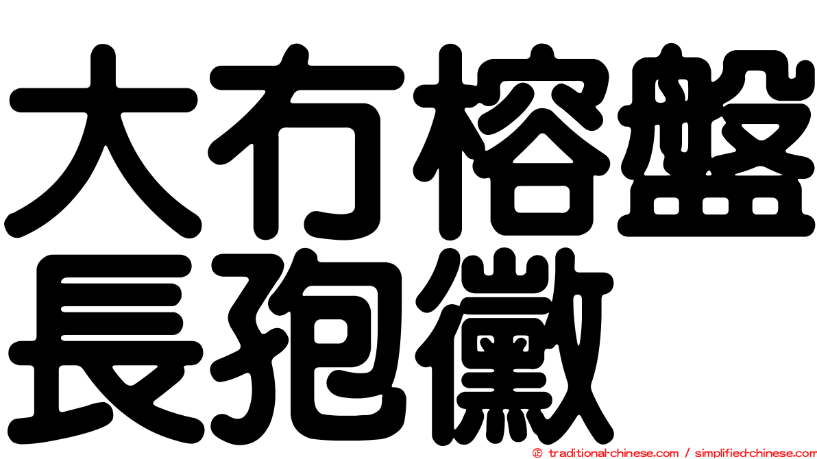大冇榕盤長孢黴