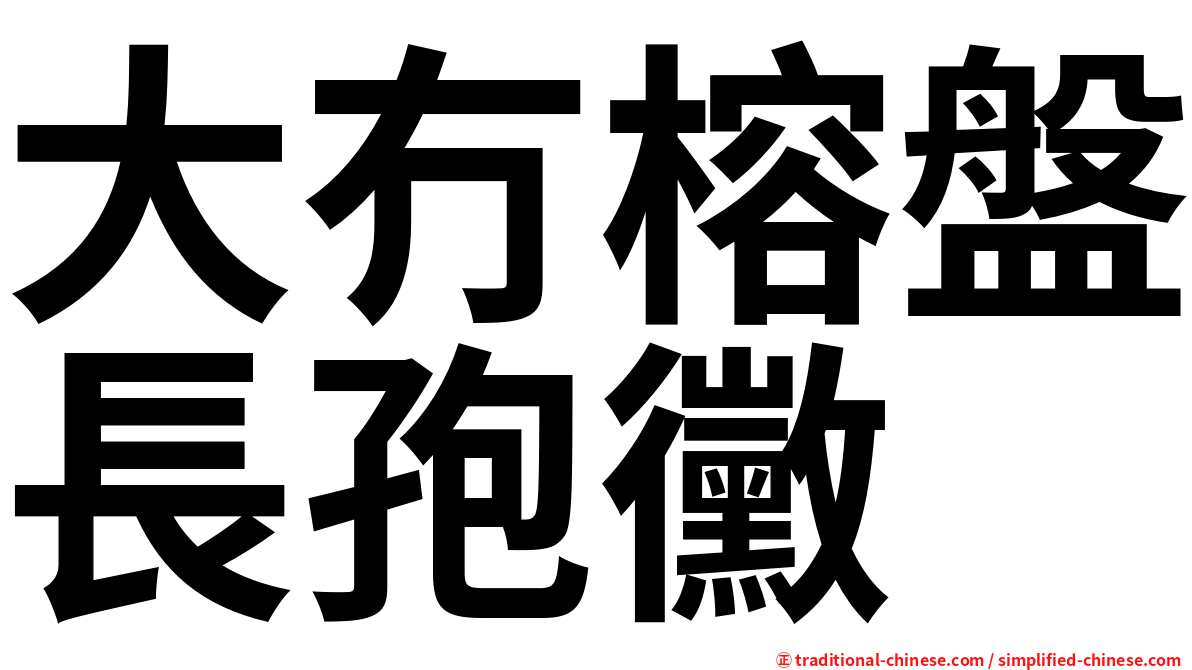 大冇榕盤長孢黴