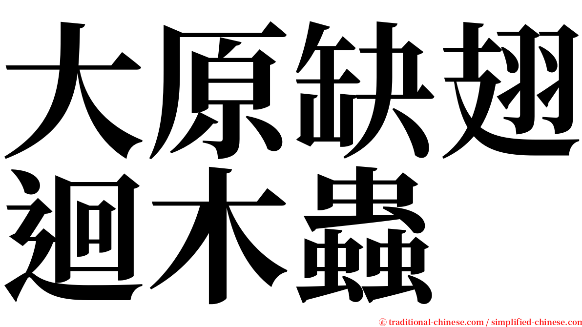 大原缺翅迴木蟲 serif font