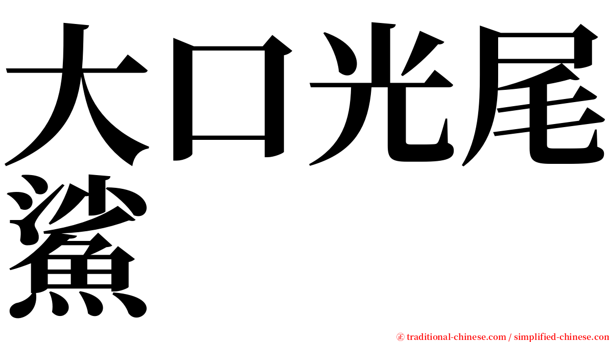 大口光尾鯊 serif font