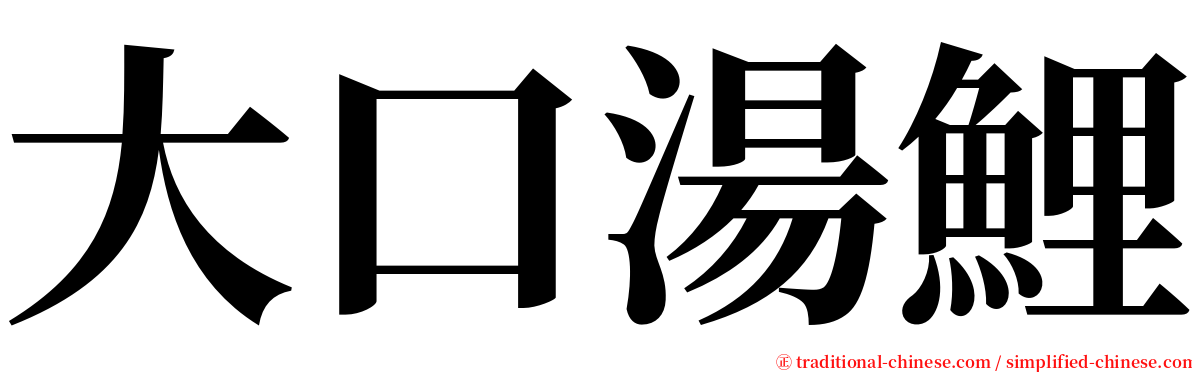 大口湯鯉 serif font