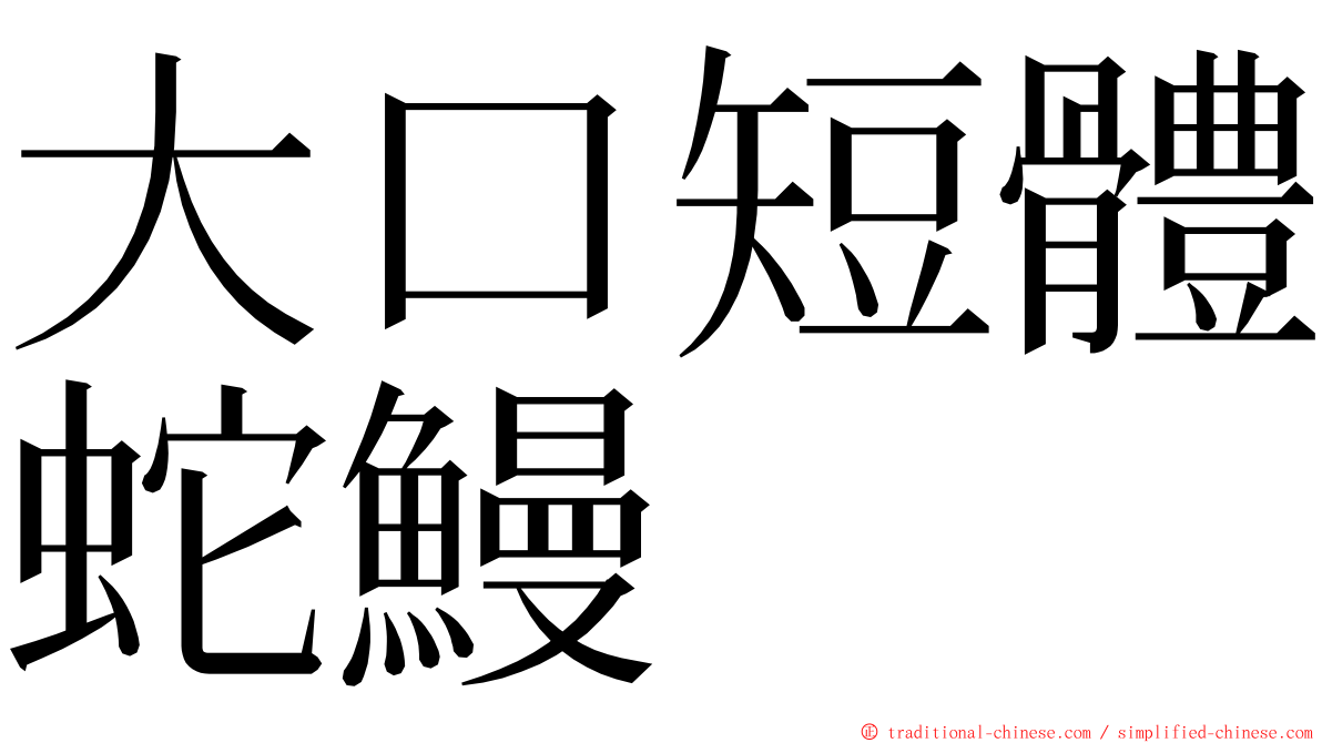 大口短體蛇鰻 ming font