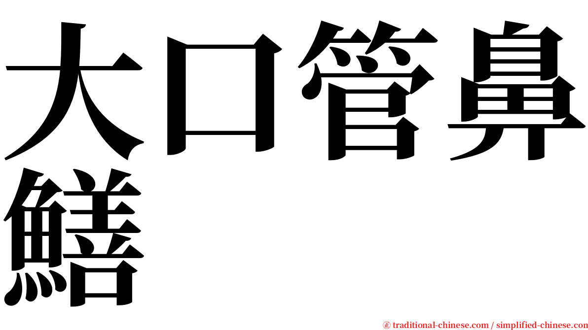 大口管鼻鱔 serif font