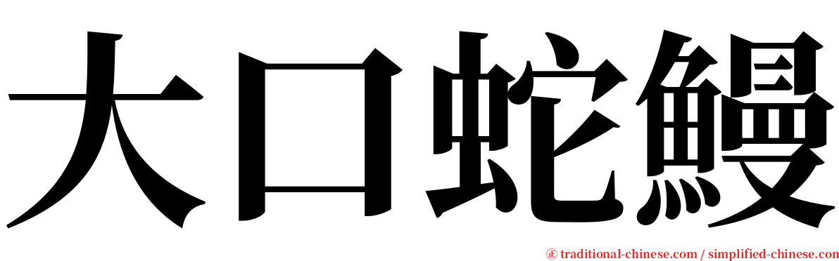 大口蛇鰻 serif font