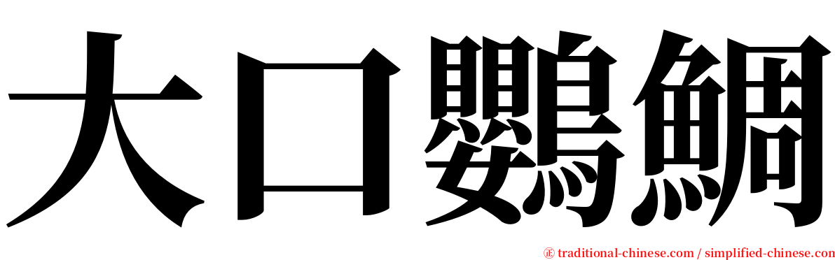 大口鸚鯛 serif font