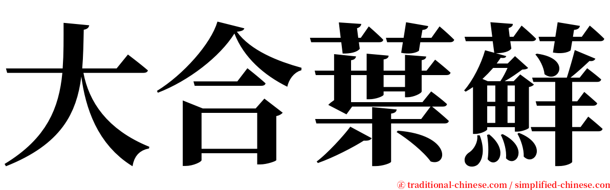 大合葉蘚 serif font