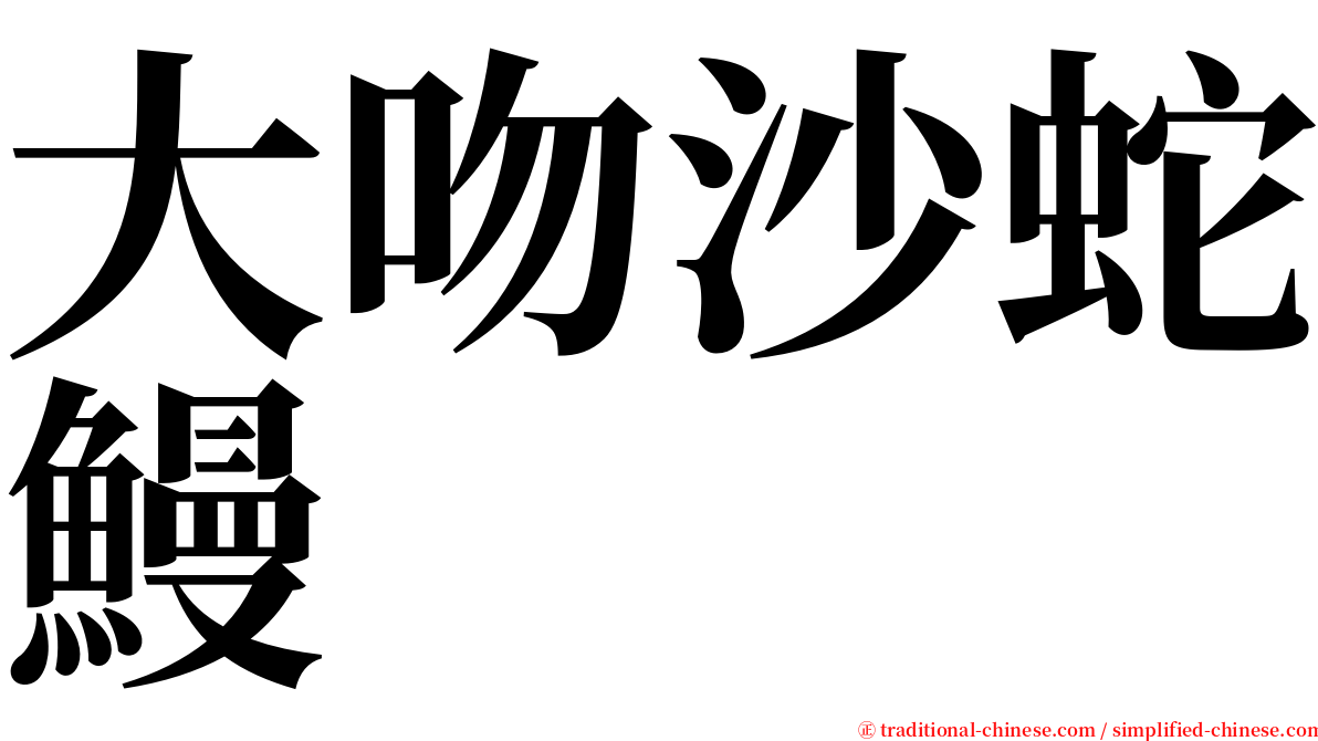 大吻沙蛇鰻 serif font