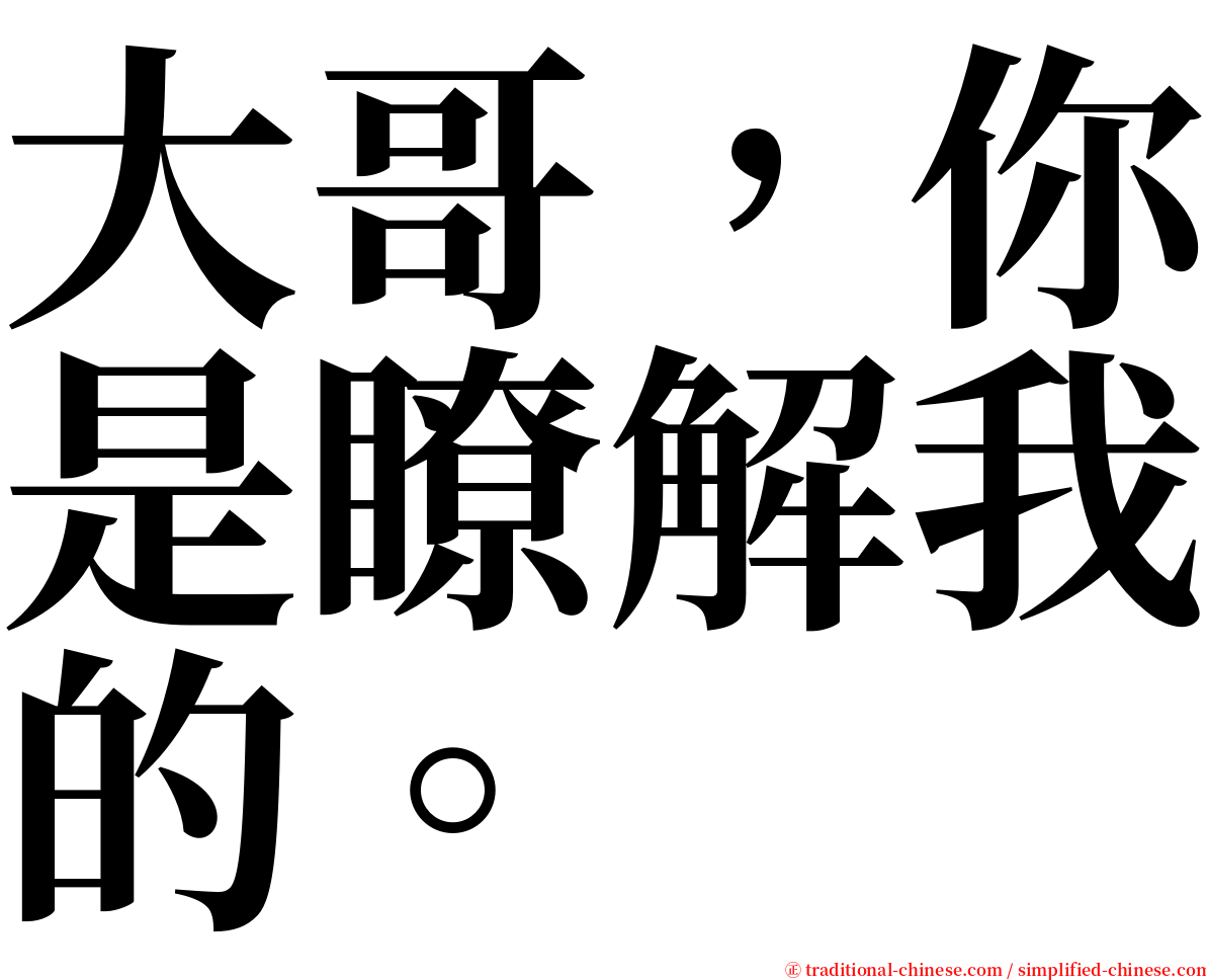 大哥，你是瞭解我的。 serif font