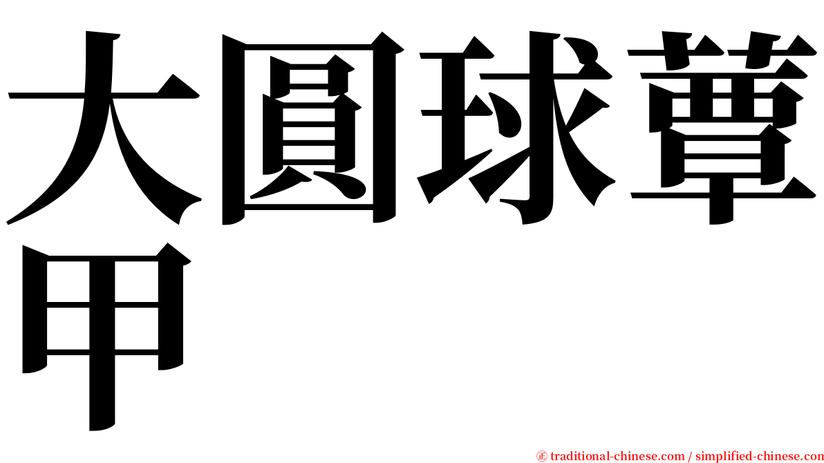 大圓球蕈甲 serif font