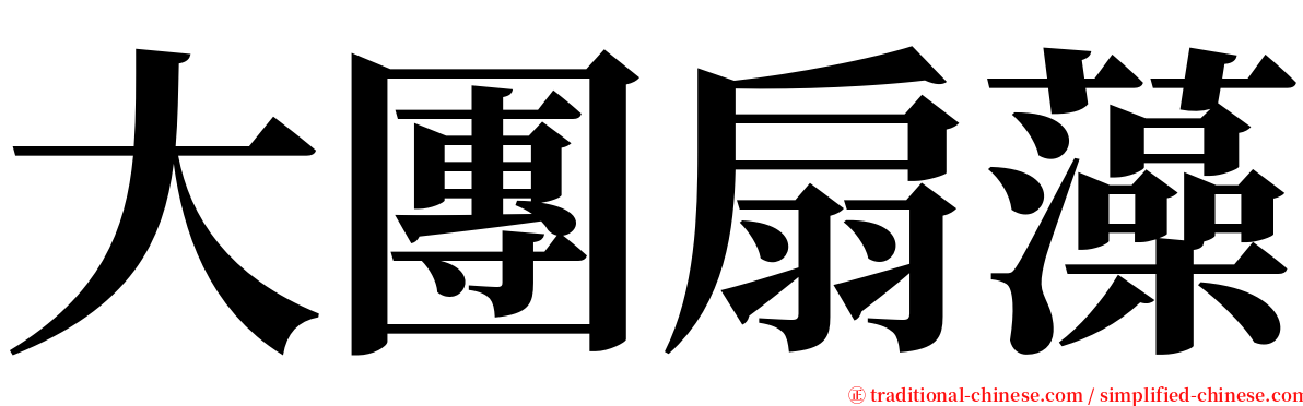 大團扇藻 serif font