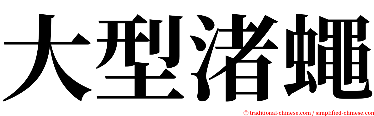 大型渚蠅 serif font