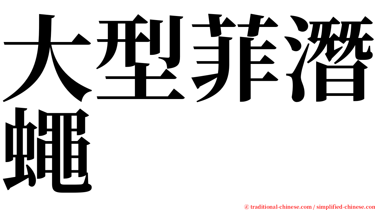 大型菲潛蠅 serif font