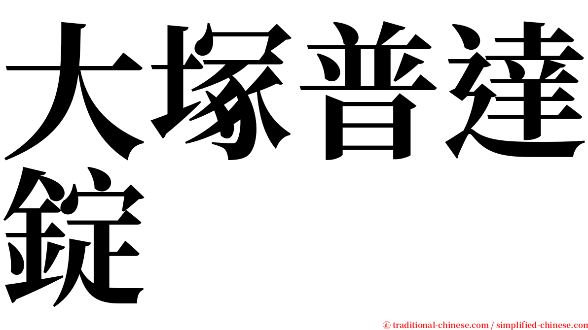 大塚普達錠 serif font