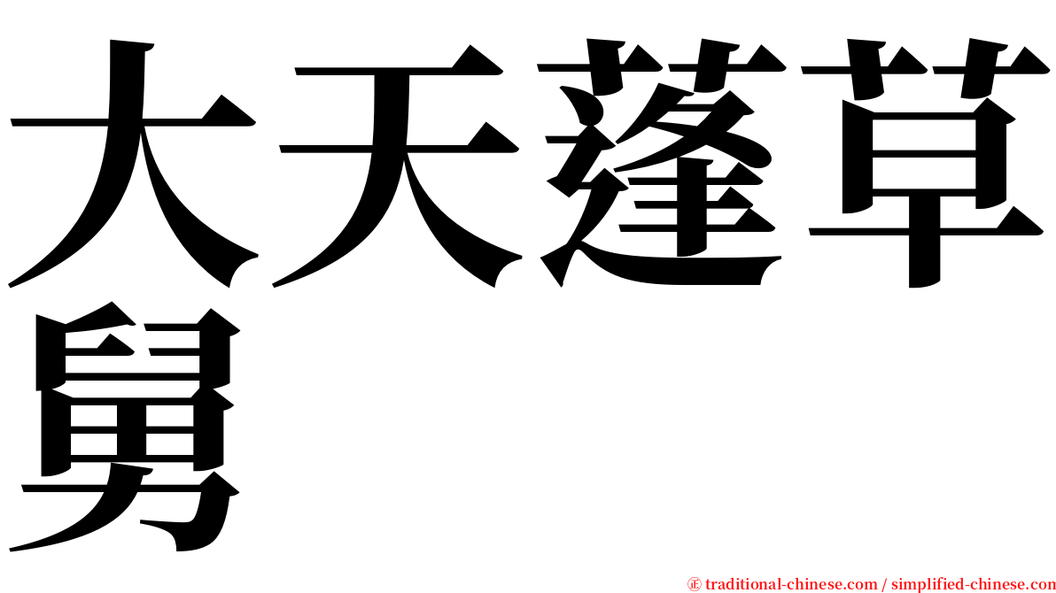 大天蓬草舅 serif font