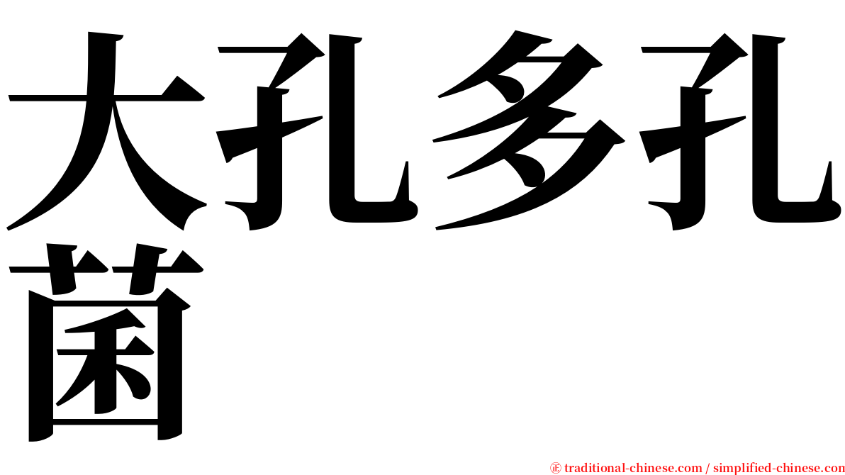 大孔多孔菌 serif font