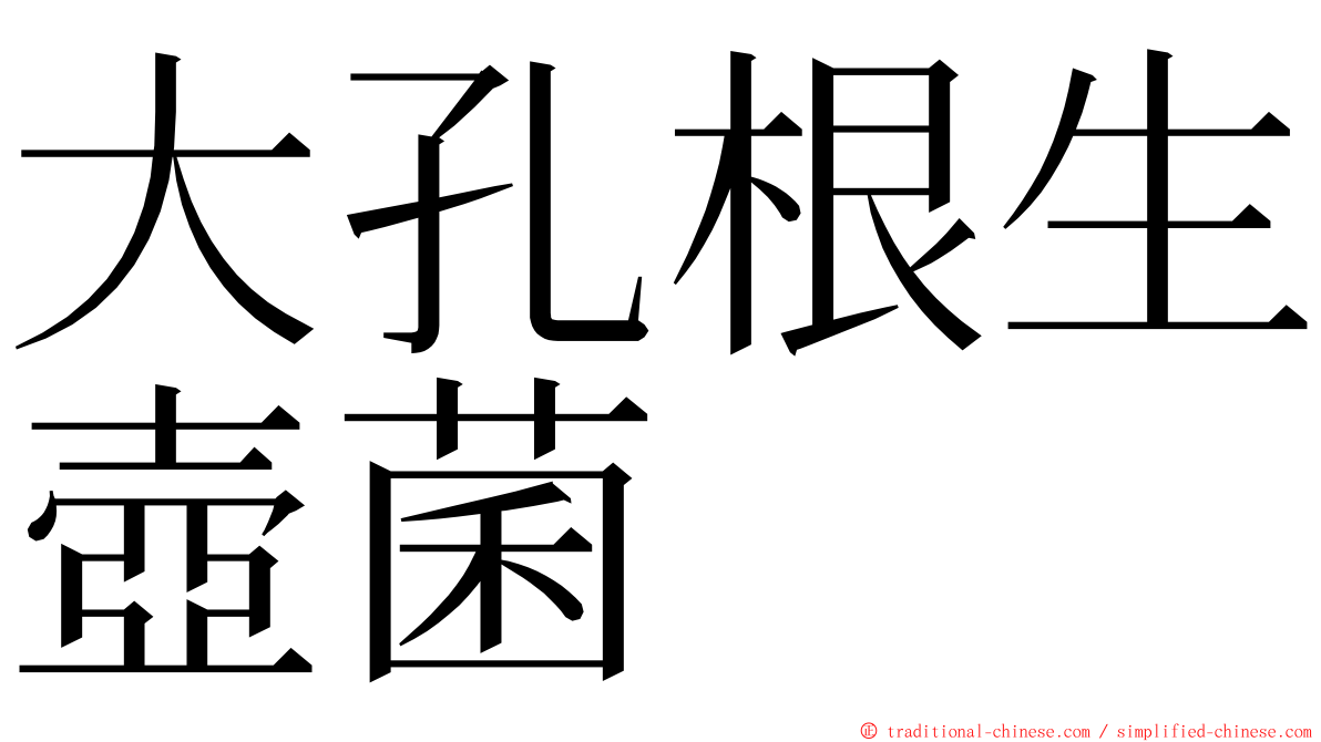 大孔根生壺菌 ming font