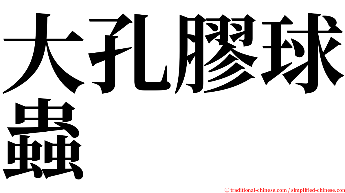 大孔膠球蟲 serif font