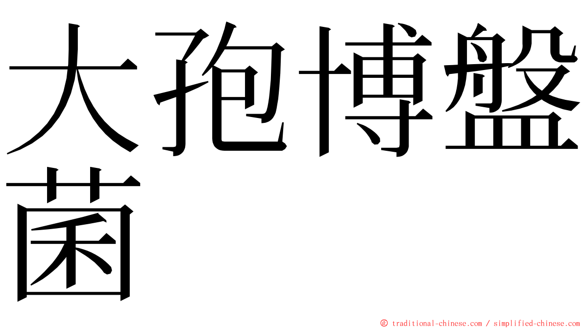 大孢博盤菌 ming font