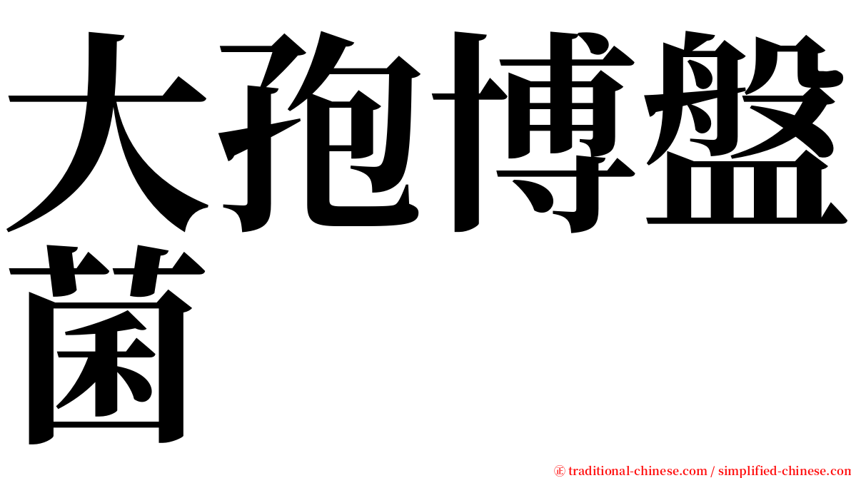 大孢博盤菌 serif font