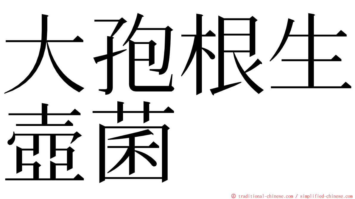 大孢根生壺菌 ming font