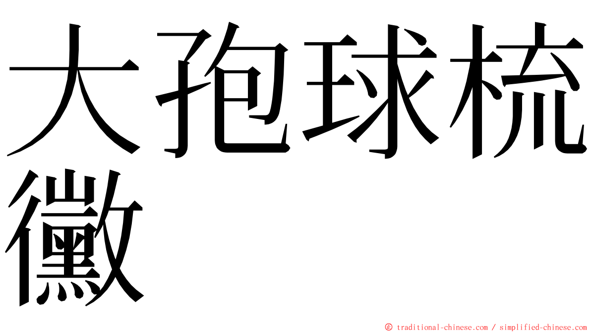 大孢球梳黴 ming font