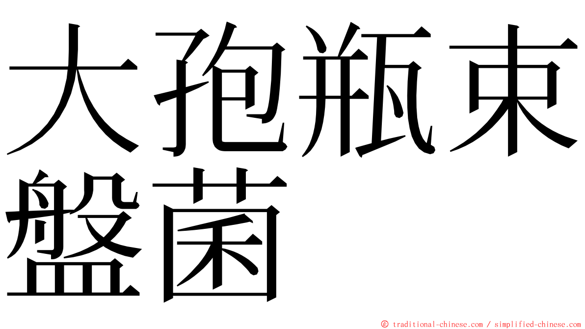 大孢瓶束盤菌 ming font