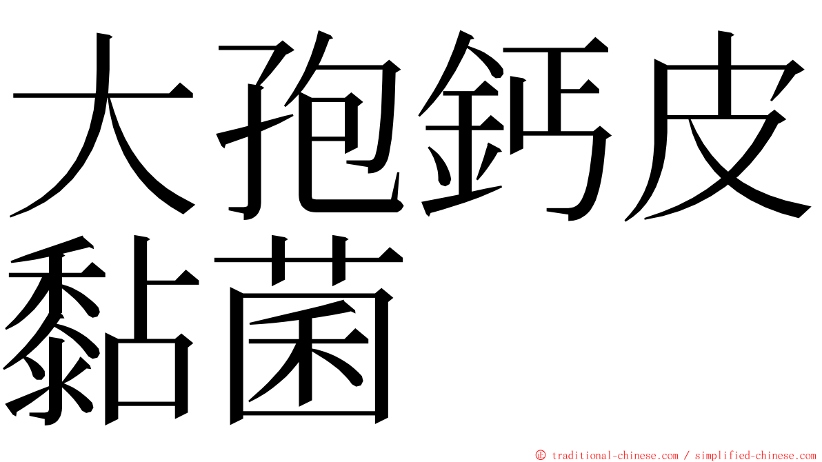 大孢鈣皮黏菌 ming font