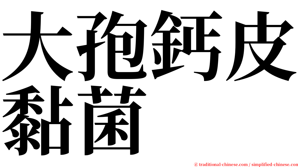 大孢鈣皮黏菌 serif font