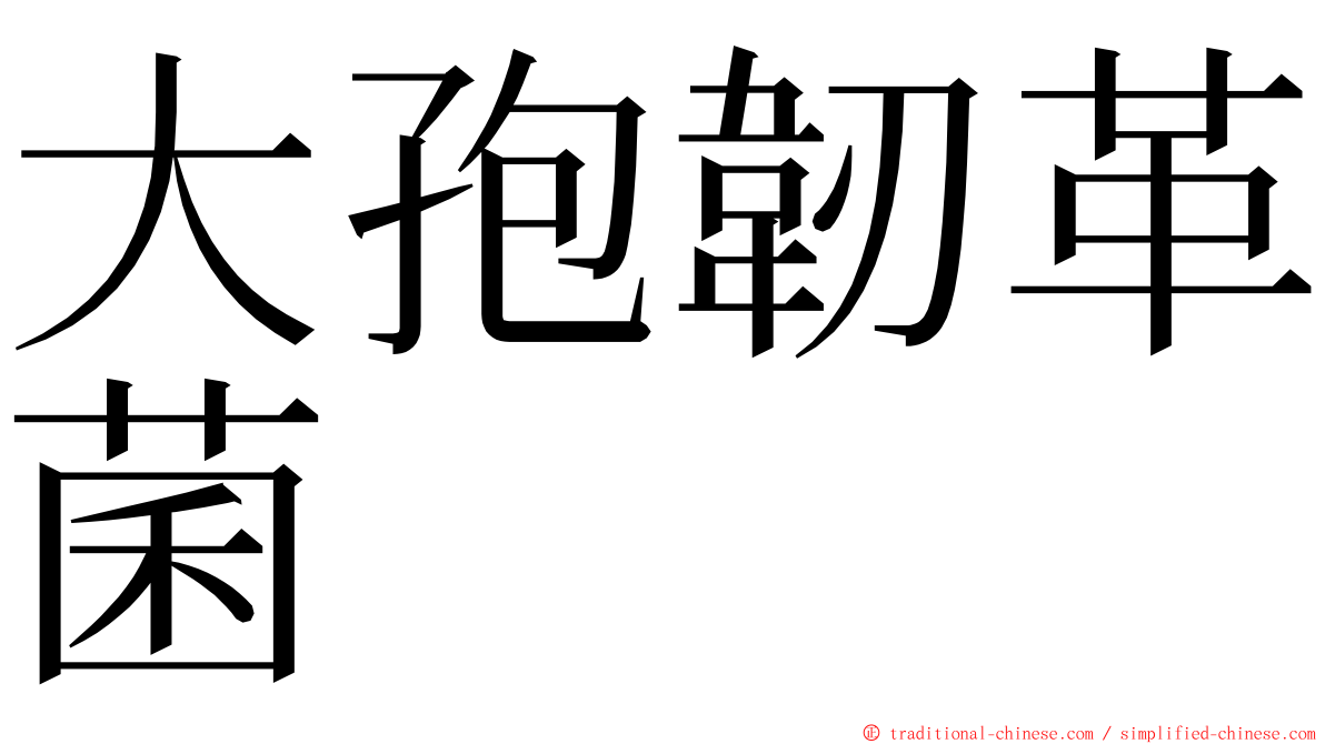 大孢韌革菌 ming font